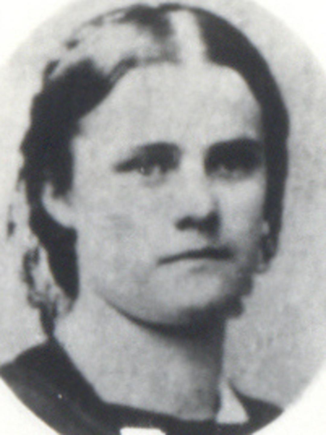 Mary Elizabeth White (1846 - 1932) Profile